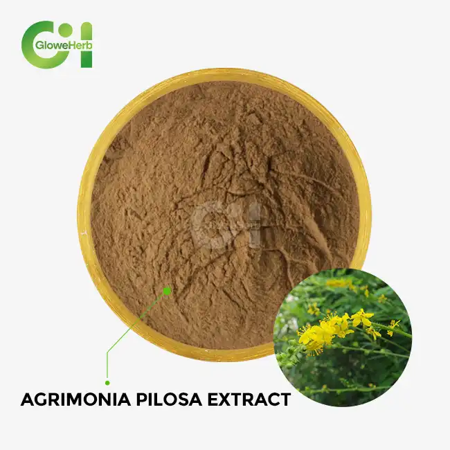Agrimonia pilosa extract Agrimonia pilosa extract